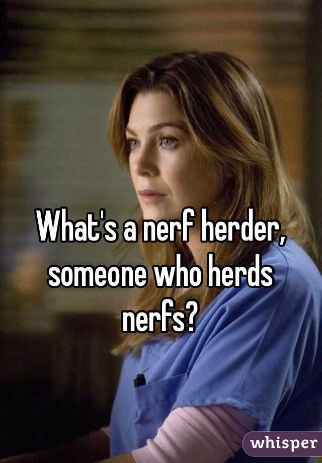 What's a nerf herder, someone who herds nerfs?