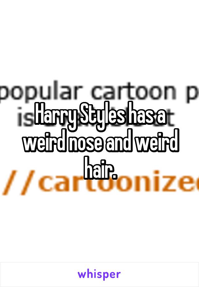 Harry Styles has a weird nose and weird hair.