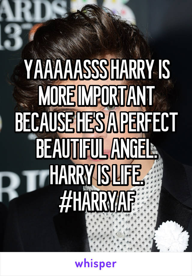 YAAAAASSS HARRY IS MORE IMPORTANT BECAUSE HE'S A PERFECT BEAUTIFUL ANGEL. HARRY IS LIFE.
#HARRYAF