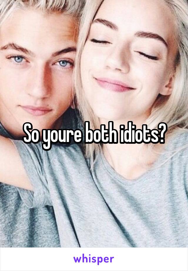 So youre both idiots?