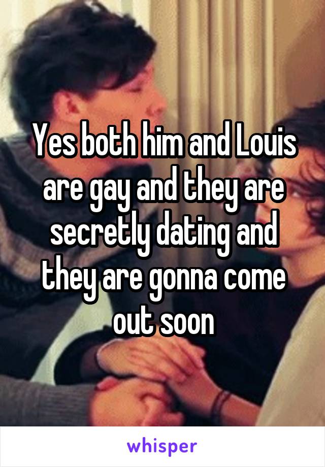 Yes both him and Louis are gay and they are secretly dating and they are gonna come out soon