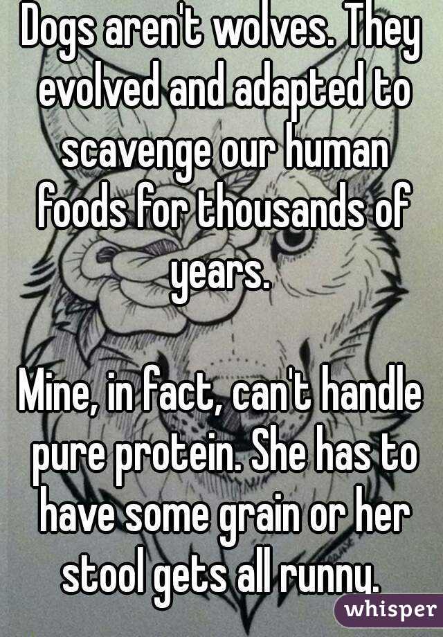 Dogs aren't wolves. They evolved and adapted to scavenge our human foods for thousands of years. 

Mine, in fact, can't handle pure protein. She has to have some grain or her stool gets all runny. 