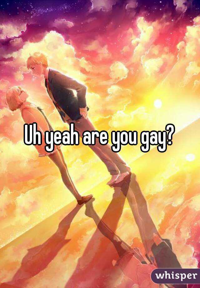 Uh yeah are you gay?