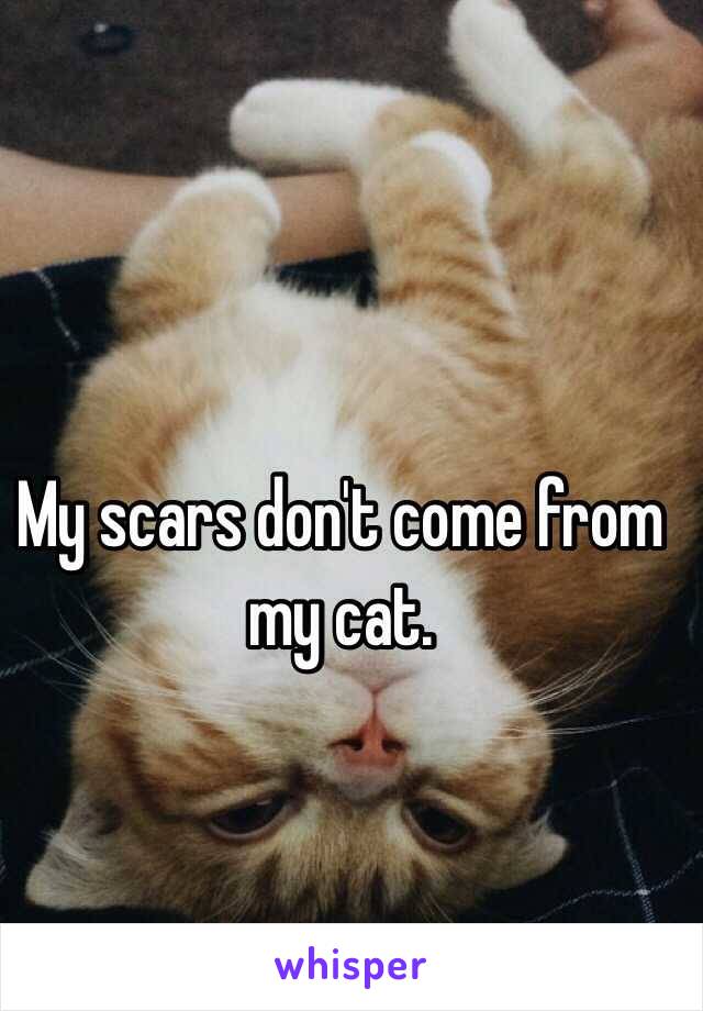 My scars don't come from my cat. 