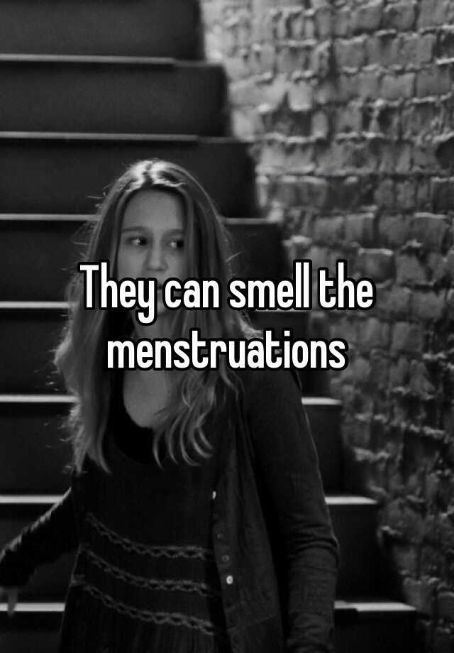 they-can-smell-the-menstruations