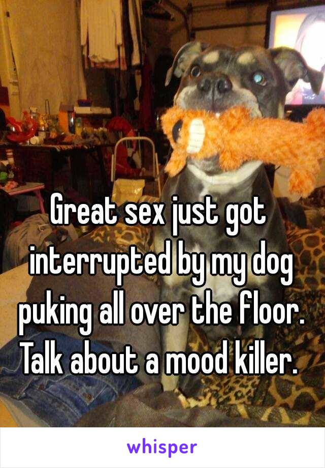 Great sex just got interrupted by my dog puking all over the floor. Talk about a mood killer. 