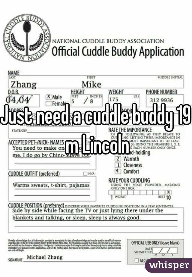 Just need a cuddle buddy 19 m Lincoln