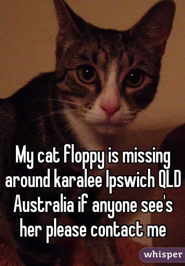 My cat floppy is missing around karalee Ipswich QLD Australia if anyone see's her please contact me