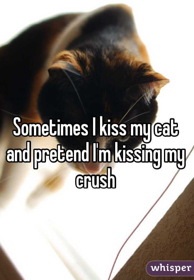 Sometimes I kiss my cat and pretend I'm kissing my crush 
