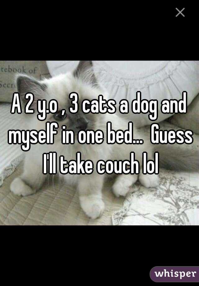 A 2 y.o , 3 cats a dog and myself in one bed...  Guess I'll take couch lol