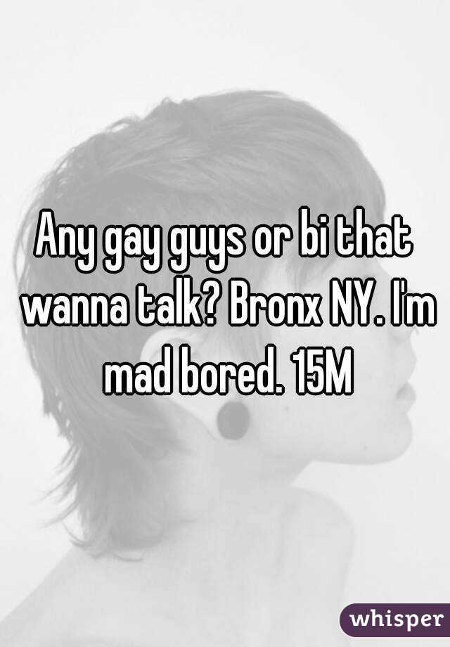 Any gay guys or bi that wanna talk? Bronx NY. I'm mad bored. 15M