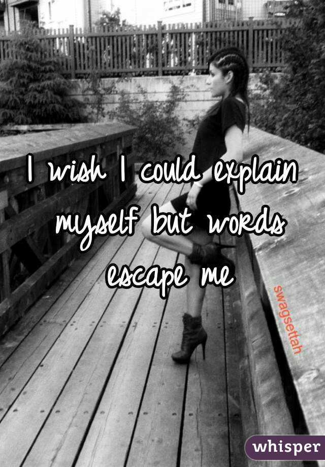 I wish I could explain myself but words escape me