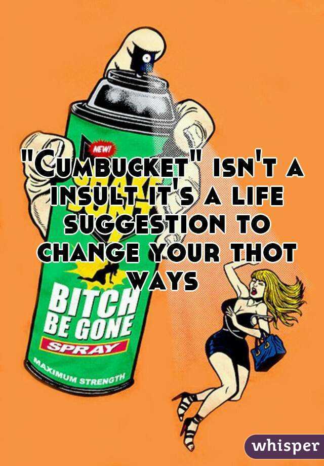 "Cumbucket" isn't a insult it's a life suggestion to change your thot ways 