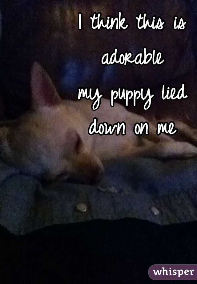 I think this is 
adorable 
my puppy lied 
down on me