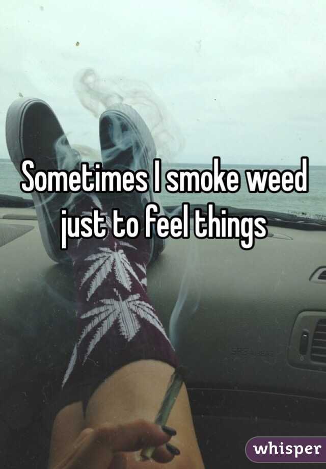 Sometimes I smoke weed just to feel things