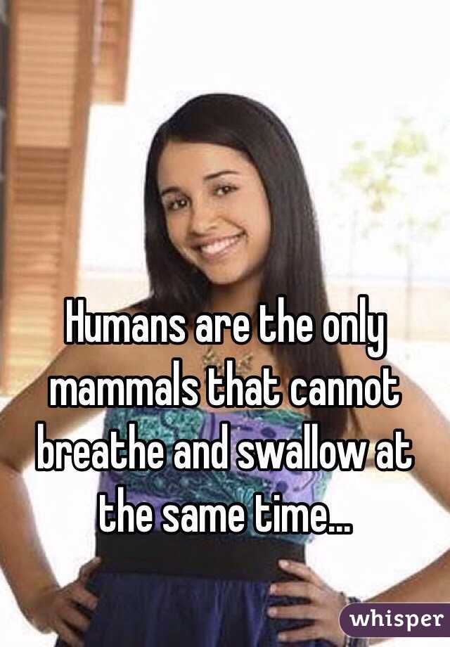 Humans are the only mammals that cannot breathe and swallow at the same time...