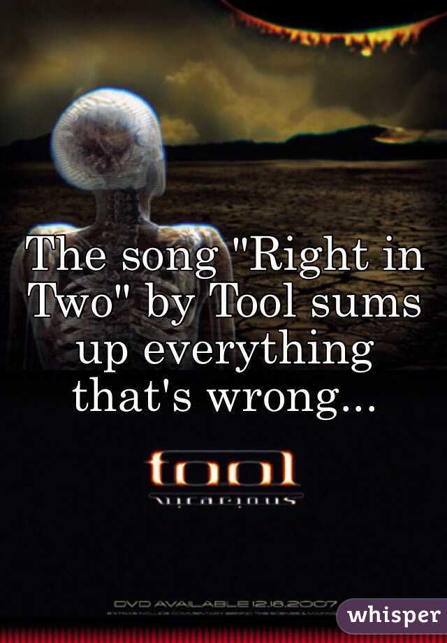 The song "Right in Two" by Tool sums up everything that's wrong...