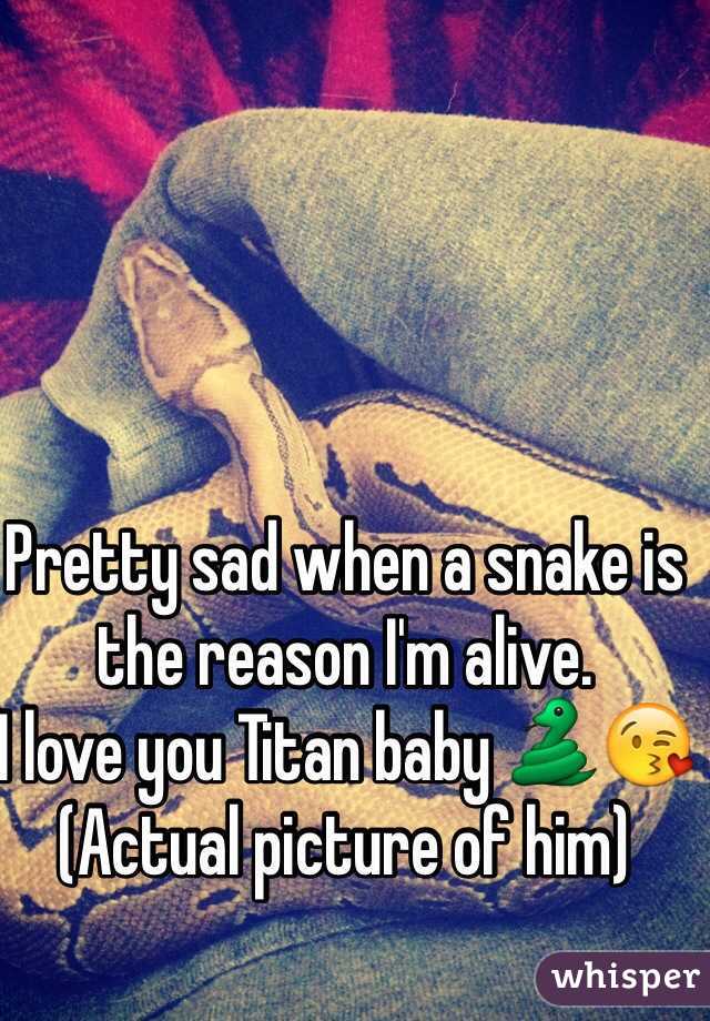 Pretty sad when a snake is the reason I'm alive. 
I love you Titan baby 🐍😘
(Actual picture of him) 