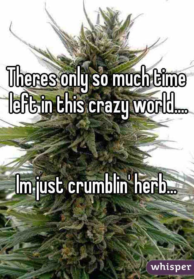 Theres only so much time left in this crazy world....


Im just crumblin' herb...