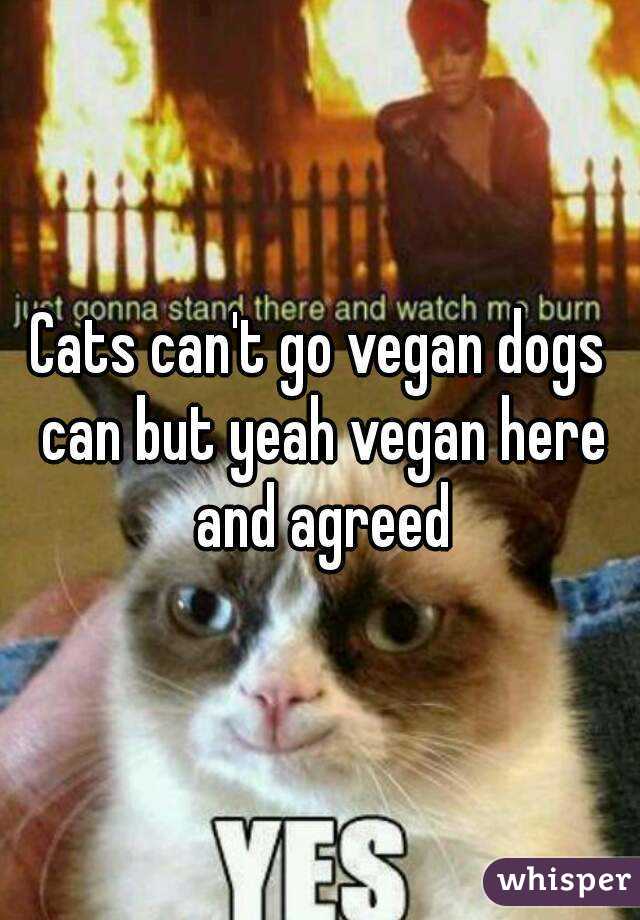 Cats can't go vegan dogs can but yeah vegan here and agreed