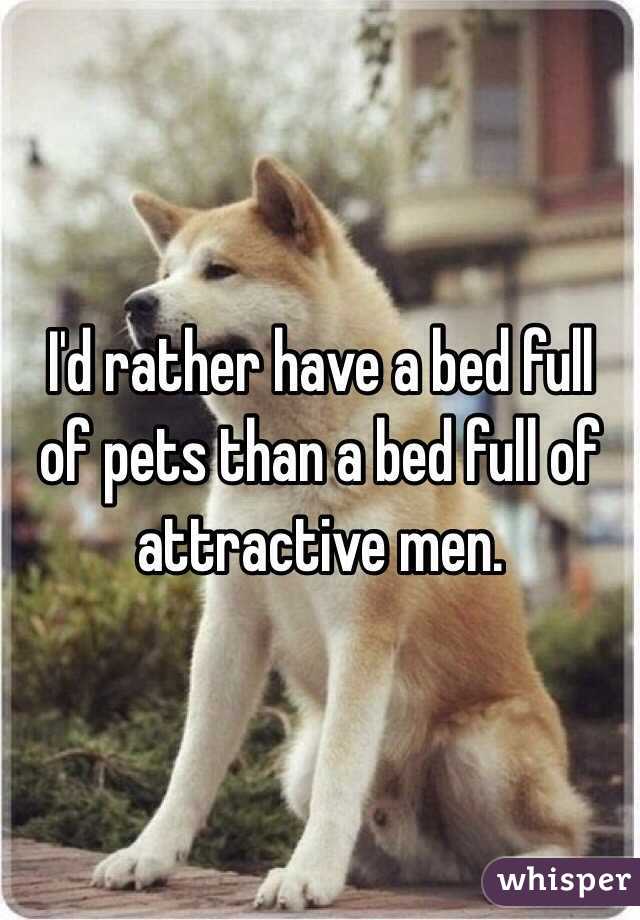 I'd rather have a bed full of pets than a bed full of attractive men. 