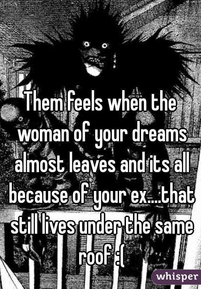 Them feels when the woman of your dreams almost leaves and its all because of your ex....that still lives under the same roof :(