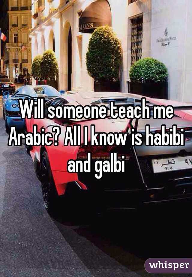 Will someone teach me Arabic? All I know is habibi and galbi