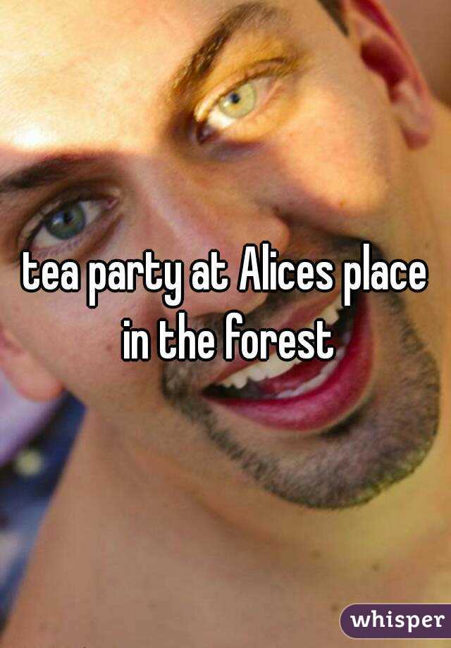 tea party at Alices place in the forest