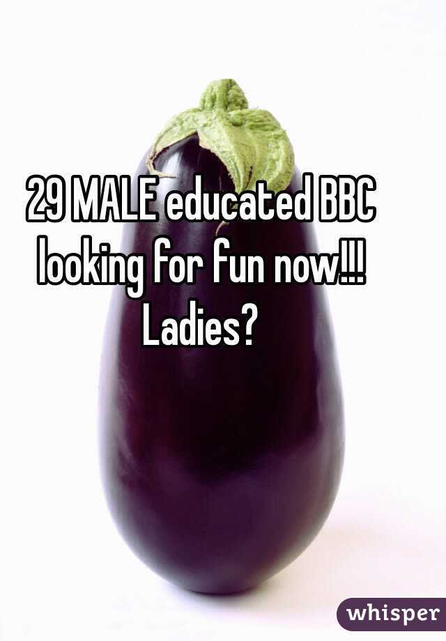 29 MALE educated BBC looking for fun now!!! Ladies?