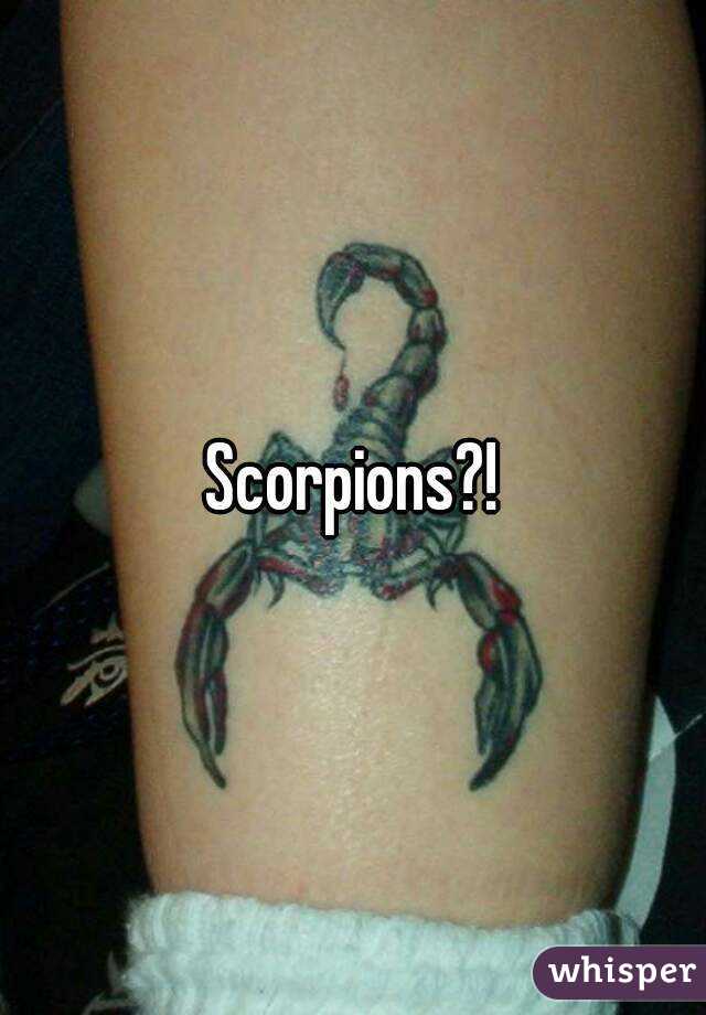 Scorpions?!