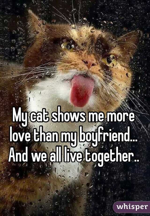 My cat shows me more love than my boyfriend... And we all live together..