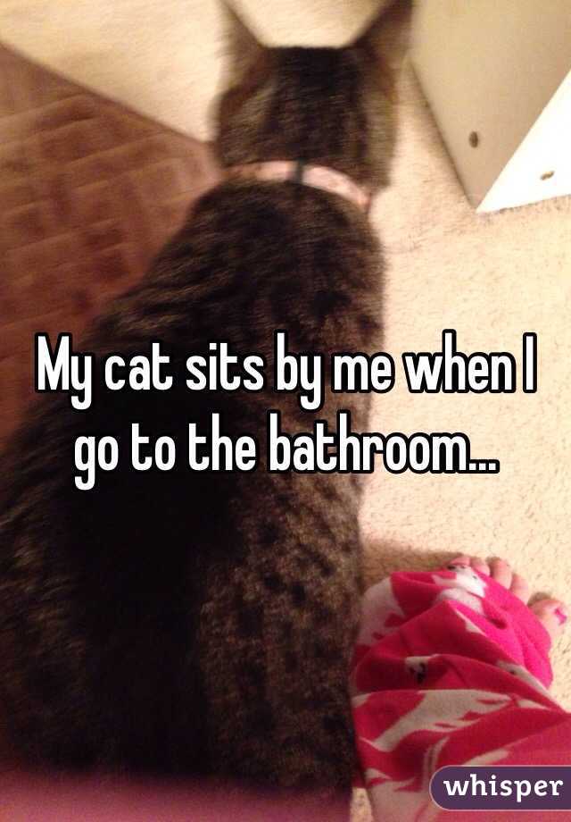 My cat sits by me when I go to the bathroom...