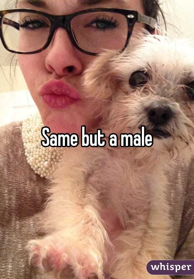 Same but a male