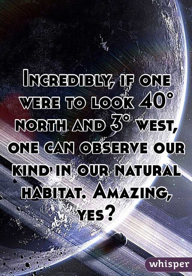 Incredibly, if one were to look 40° north and 3° west, one can observe our kind in our natural habitat. Amazing, yes?