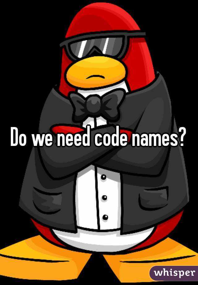 Do we need code names?