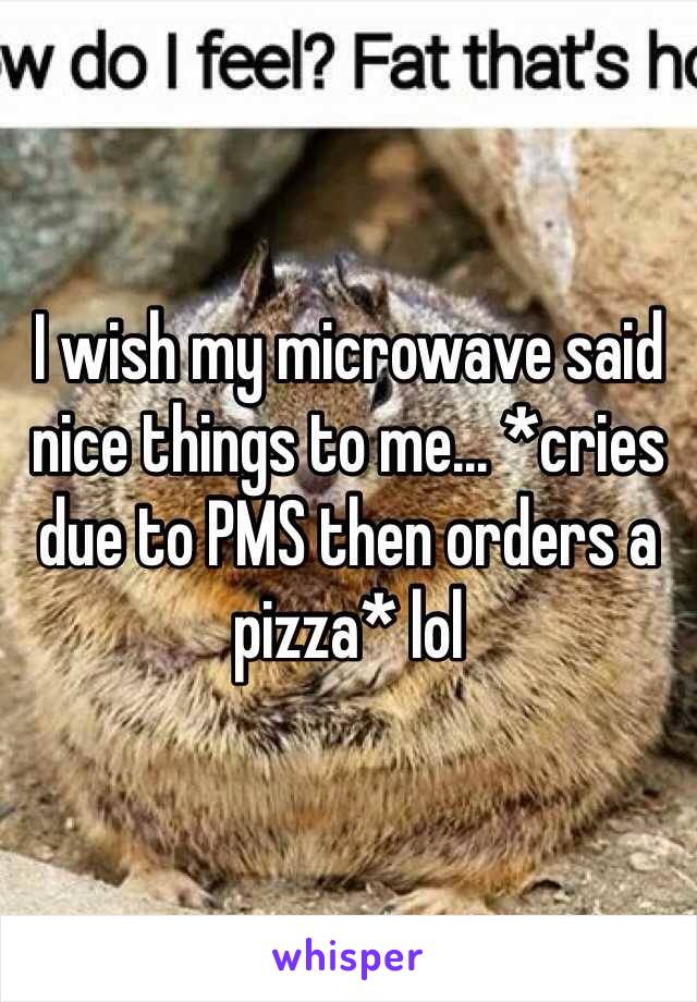 I wish my microwave said nice things to me... *cries due to PMS then orders a pizza* lol