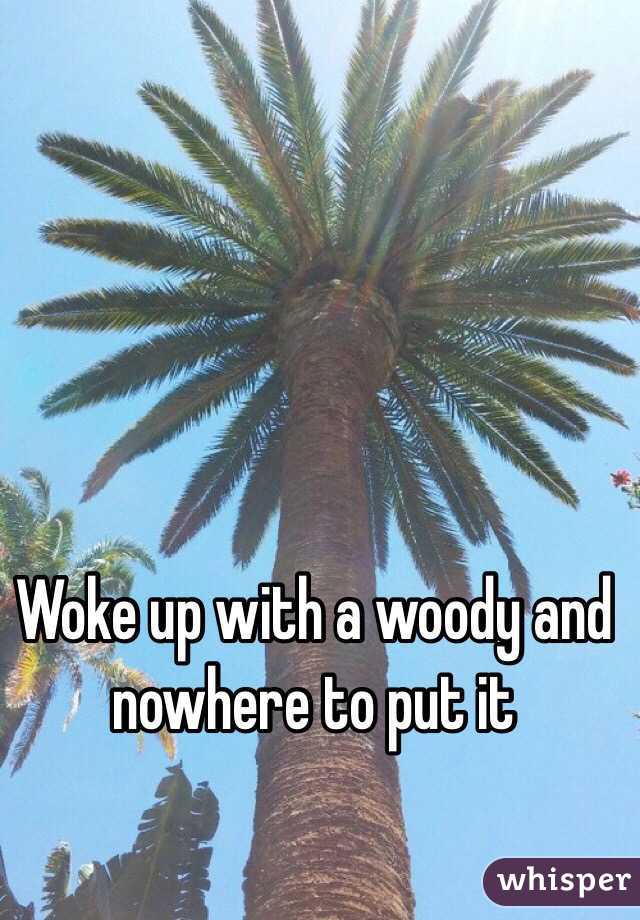 Woke up with a woody and nowhere to put it 