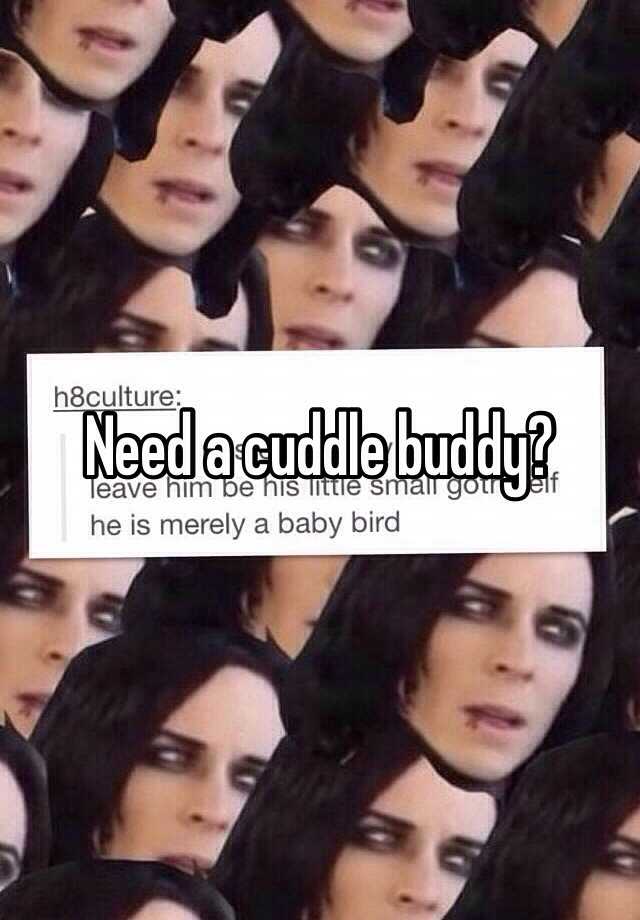 need-a-cuddle-buddy