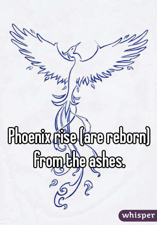 Phoenix rise (are reborn) from the ashes. 