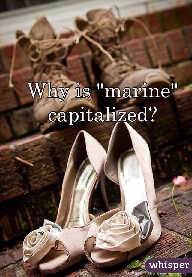 Why is "marine"  capitalized?