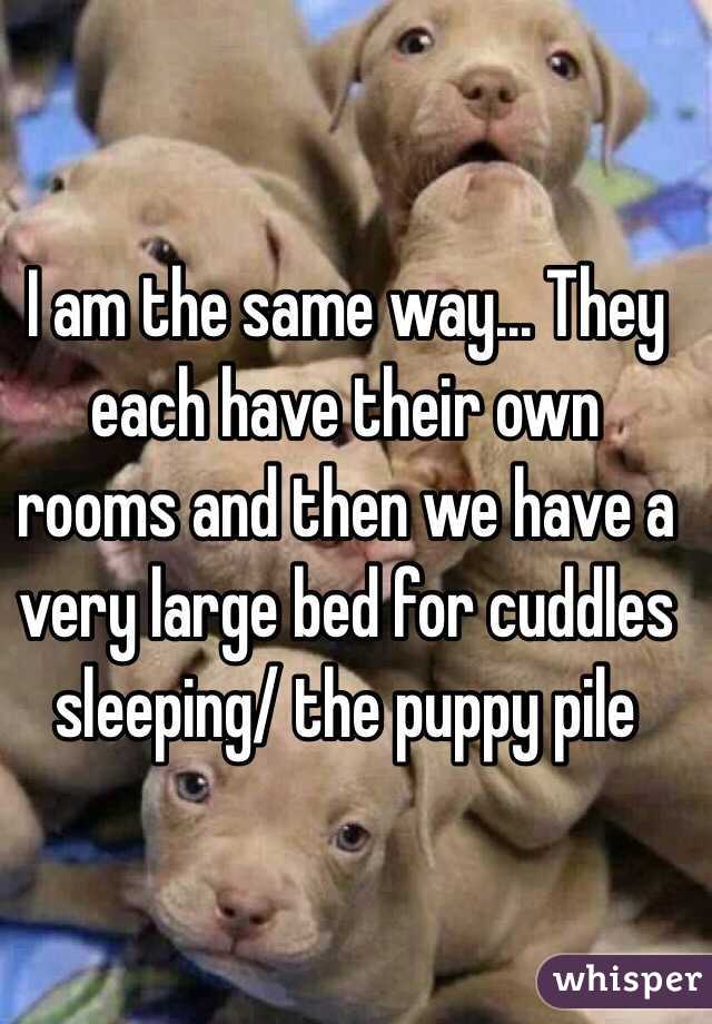 I am the same way... They each have their own rooms and then we have a very large bed for cuddles sleeping/ the puppy pile