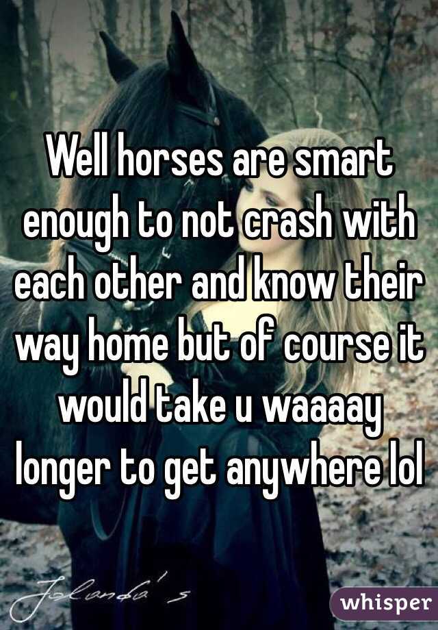 Well horses are smart enough to not crash with each other and know their way home but of course it would take u waaaay longer to get anywhere lol