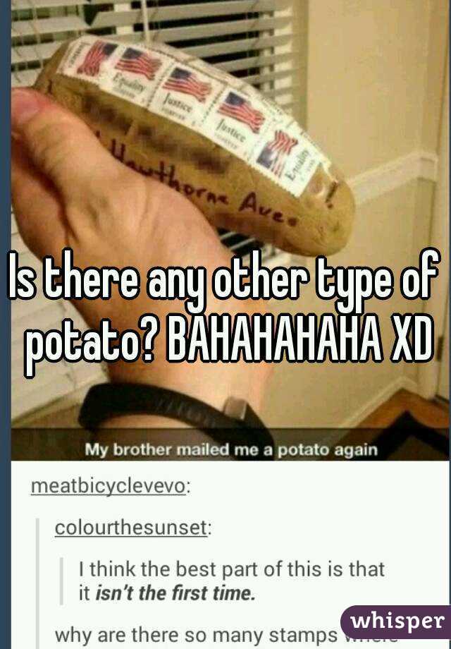 Is there any other type of potato? BAHAHAHAHA XD