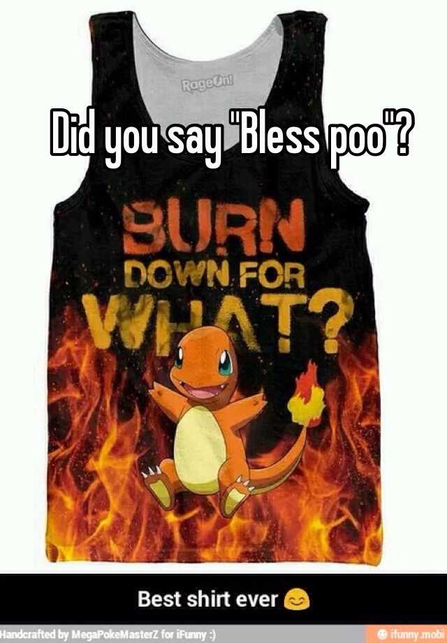 did-you-say-bless-poo