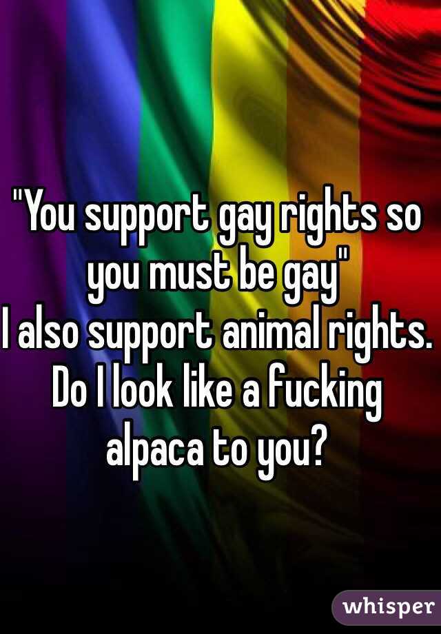 "You support gay rights so you must be gay" 
I also support animal rights. Do I look like a fucking alpaca to you? 