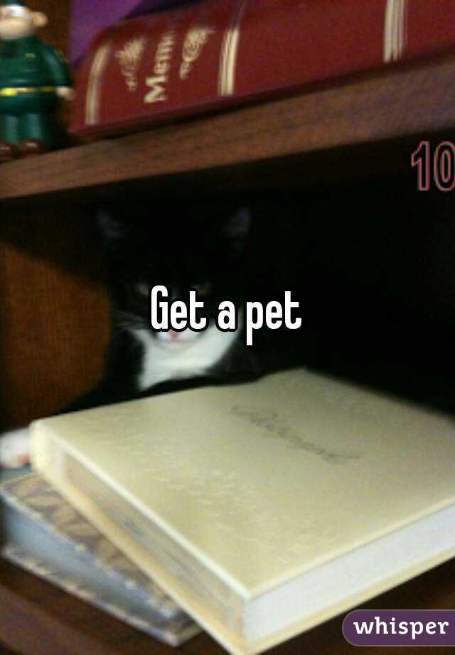 Get a pet