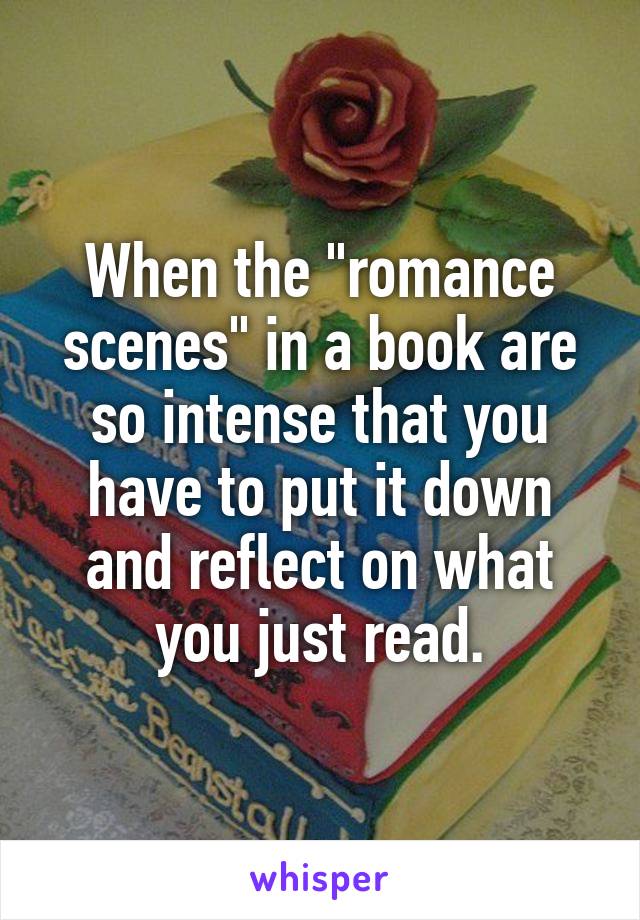 When the "romance scenes" in a book are so intense that you have to put it down and reflect on what you just read.