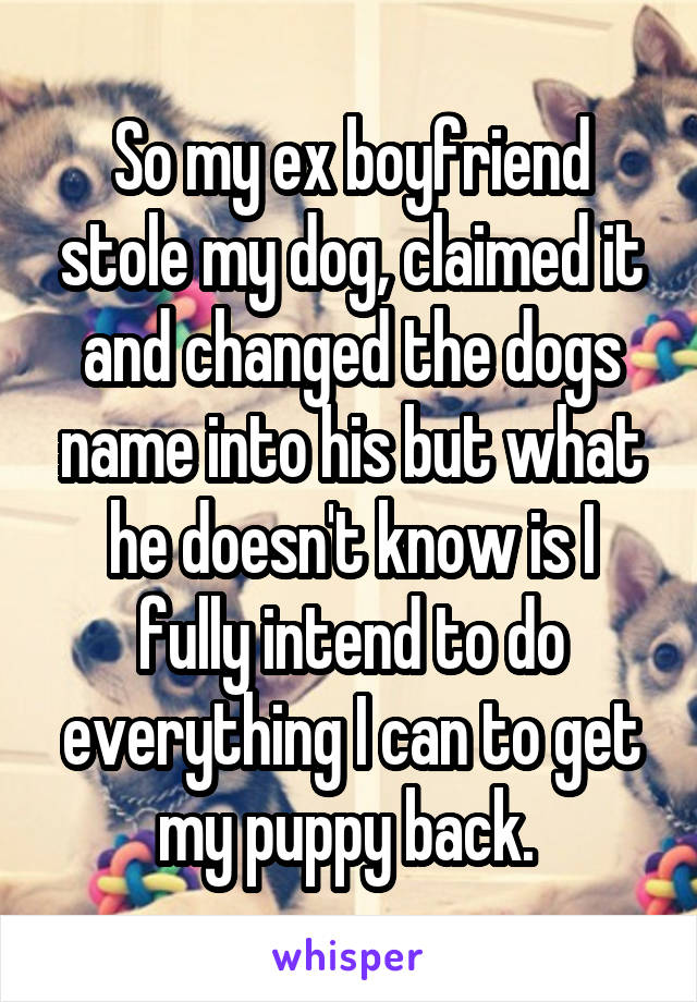 So my ex boyfriend stole my dog, claimed it and changed the dogs name into his but what he doesn't know is I fully intend to do everything I can to get my puppy back. 