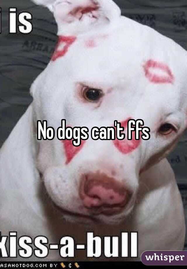 No dogs can't ffs