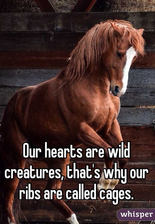 our hearts are wild creatures that